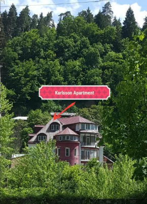 Karlsson Borjomi Apartment., Borjomi